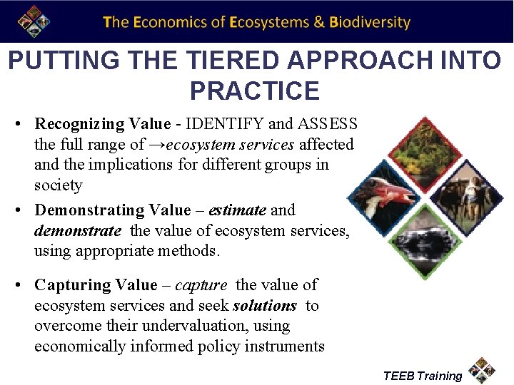 PUTTING THE TIERED APPROACH INTO PRACTICE • Recognizing Value - IDENTIFY and ASSESS the