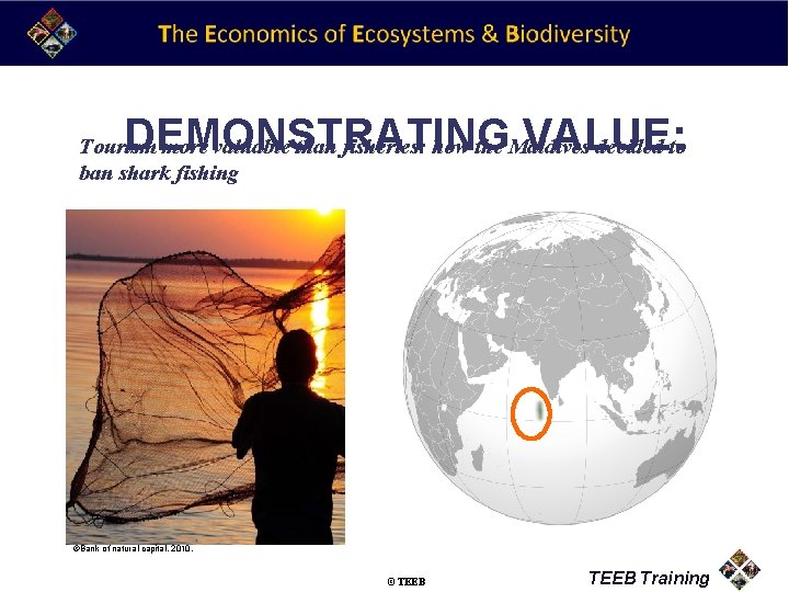 DEMONSTRATING VALUE: Tourism more valuable than fisheries: how the Maldives decided to ban shark
