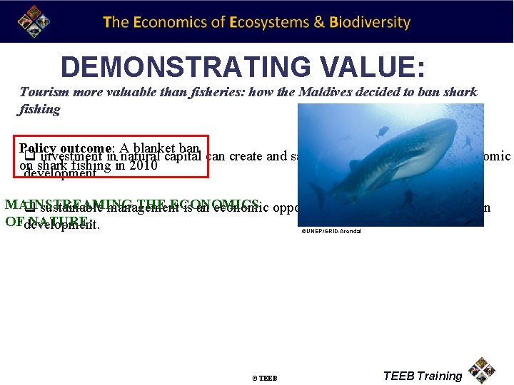 DEMONSTRATING VALUE: Tourism more valuable than fisheries: how the Maldives decided to ban shark