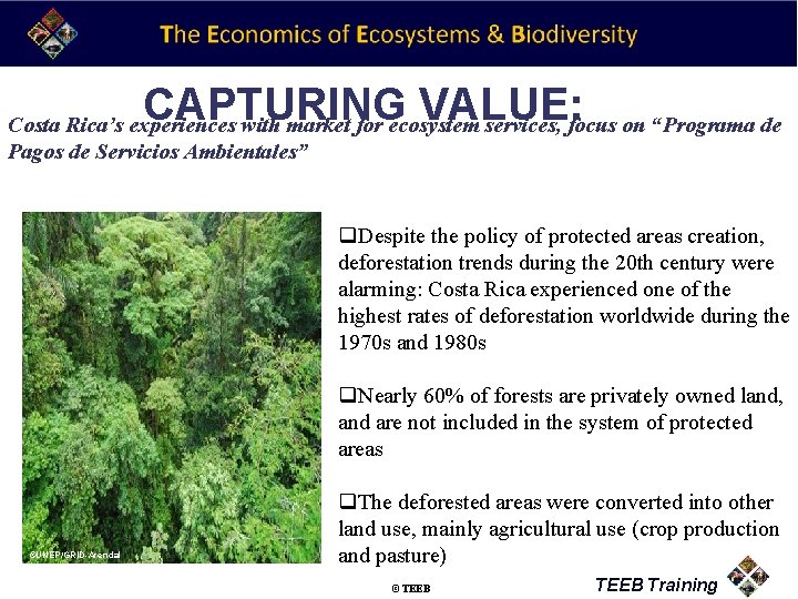 CAPTURING VALUE: Costa Rica’s experiences with market for ecosystem services, focus on “Programa de