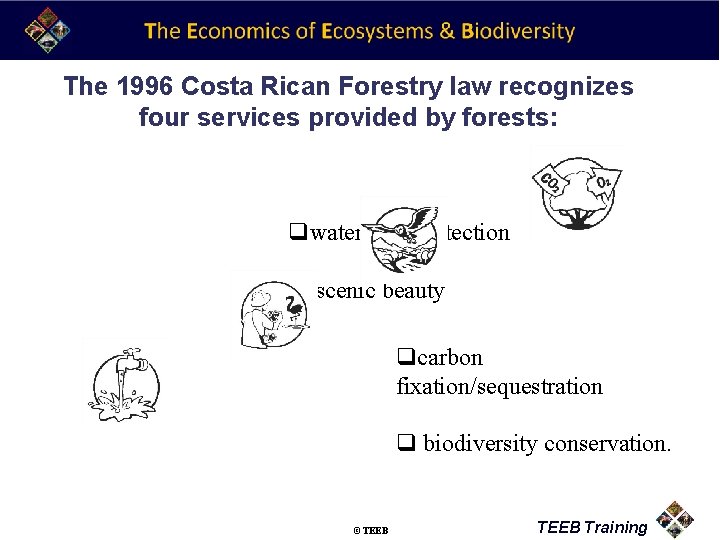 The 1996 Costa Rican Forestry law recognizes four services provided by forests: qwatershed protection
