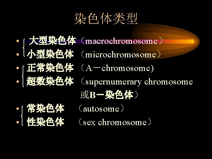 染色体类型 • • 大型染色体（macrochromosome） 小型染色体 （microchromosome） 正常染色体 （A－chromosome) 超数染色体 （supernumerary chromosome 或B－染色体） • 常染色体