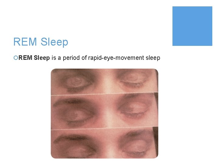 REM Sleep ¡REM Sleep is a period of rapid-eye-movement sleep 