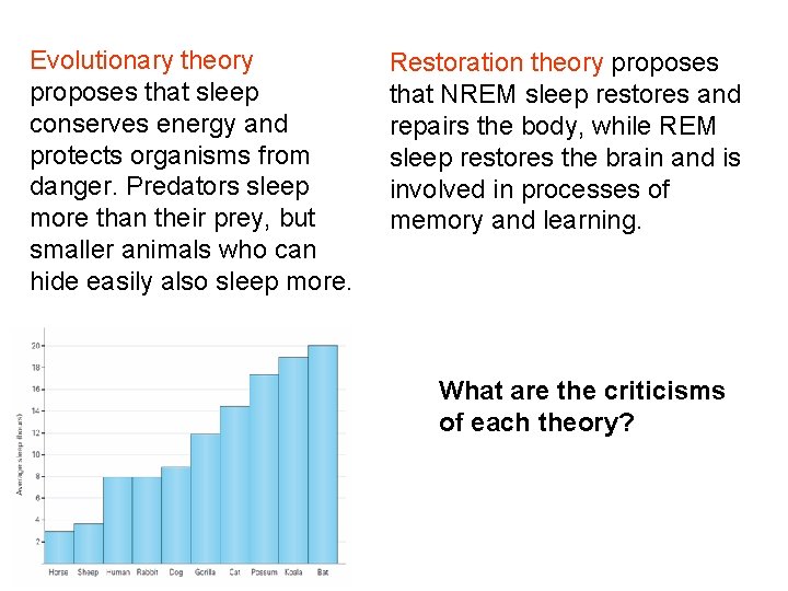 Evolutionary theory proposes that sleep conserves energy and protects organisms from danger. Predators sleep