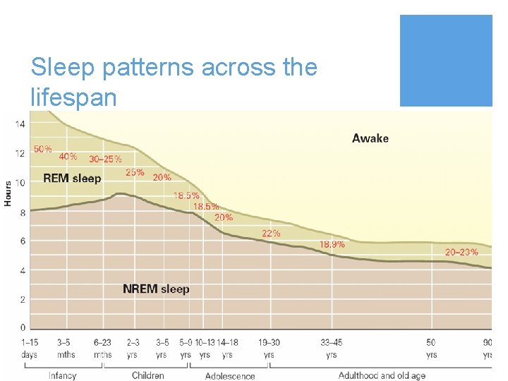 Sleep patterns across the lifespan 