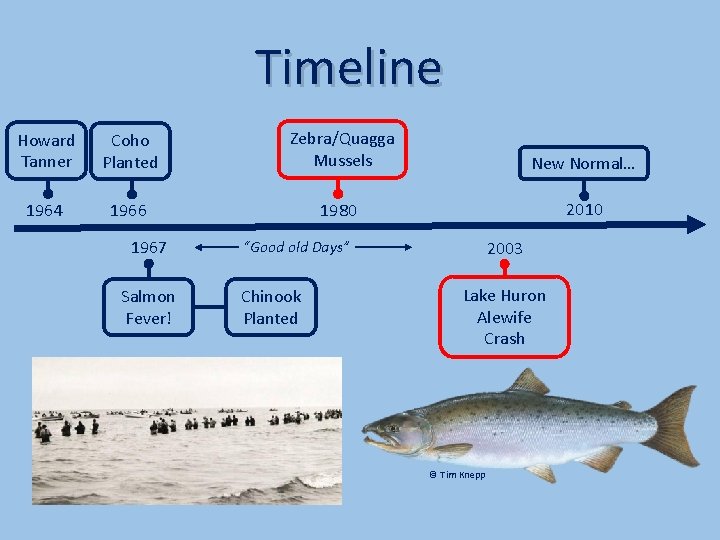 Timeline Howard Tanner Coho Planted Zebra/Quagga Mussels New Normal… 1964 1966 1980 2010 1967