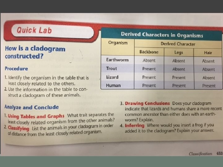 Quick Lab Ii Warm Up Pg 453 quick lab activity skip