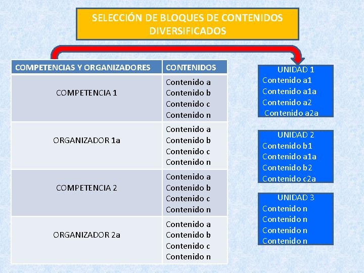 SELECCIÓN DE BLOQUES DE CONTENIDOS DIVERSIFICADOS COMPETENCIAS Y ORGANIZADORES COMPETENCIA 1 ORGANIZADOR 1 a