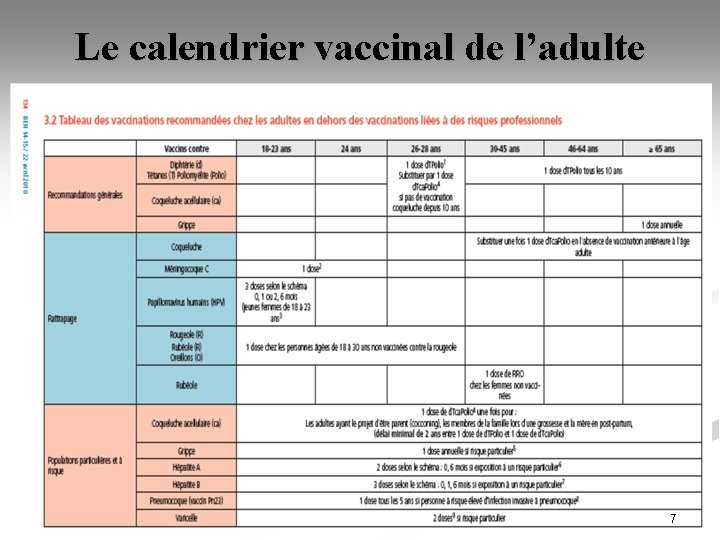 Le calendrier vaccinal de l’adulte 7 