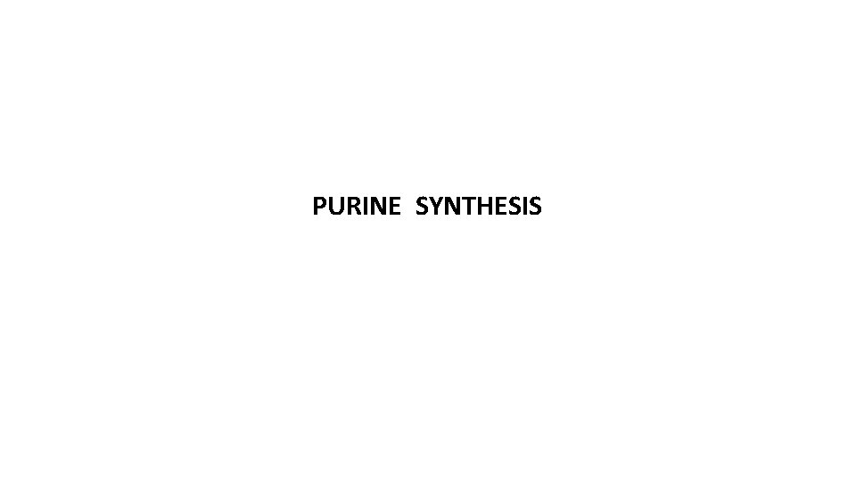 PURINE SYNTHESIS 