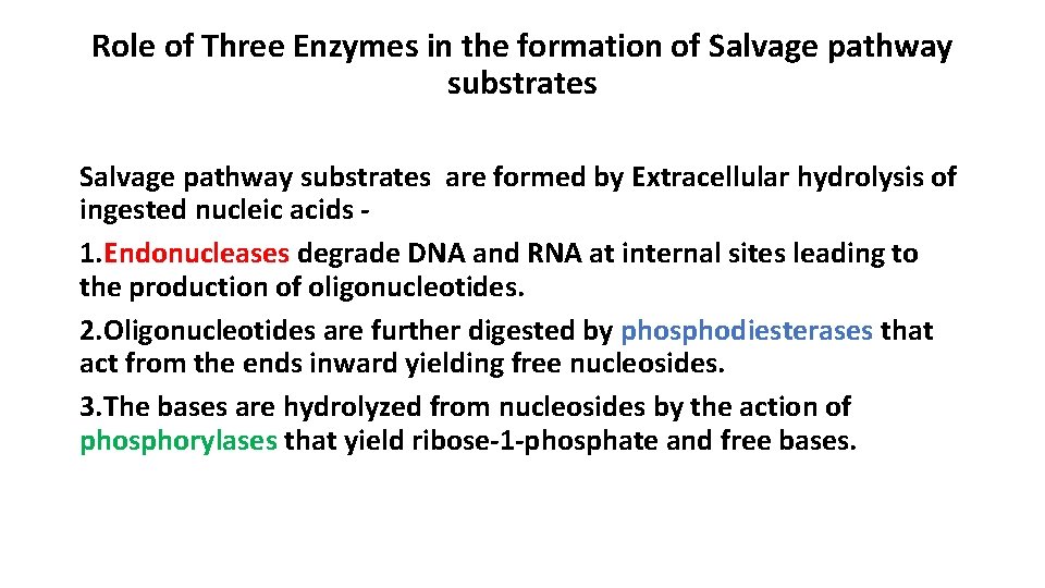 Role of Three Enzymes in the formation of Salvage pathway substrates are formed by