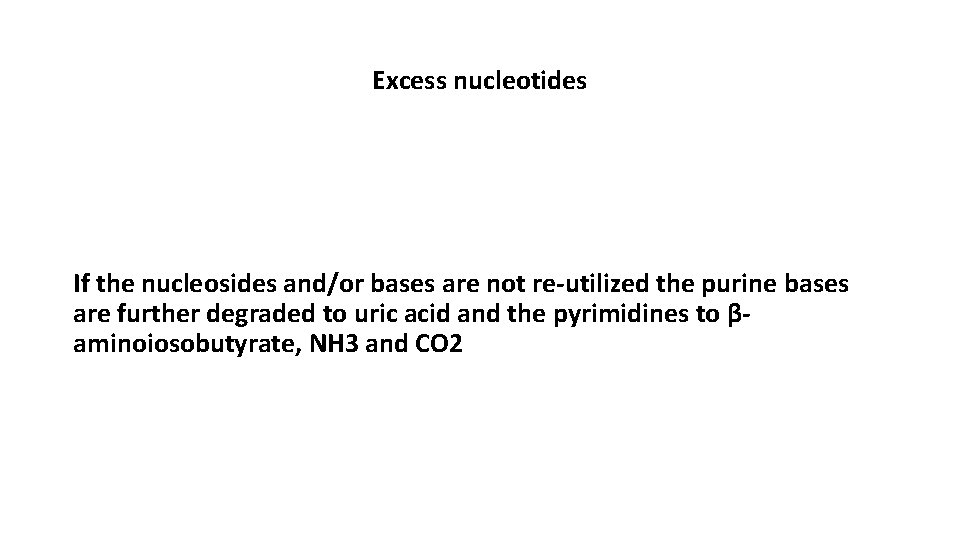Excess nucleotides If the nucleosides and/or bases are not re-utilized the purine bases are