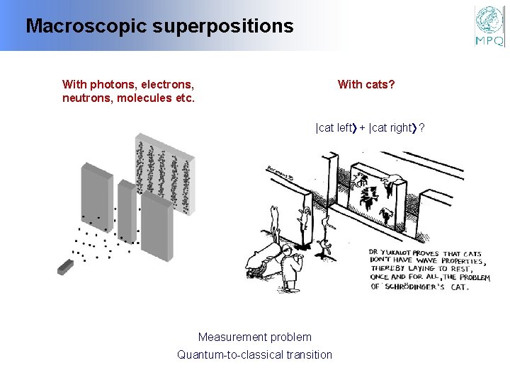 Macroscopic superpositions With photons, electrons, neutrons, molecules etc. With cats? |cat left + |cat