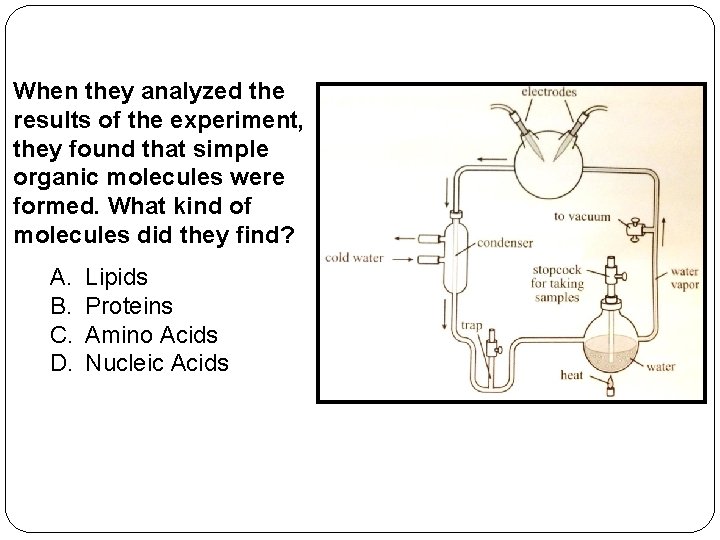 When they analyzed the results of the experiment, they found that simple organic molecules