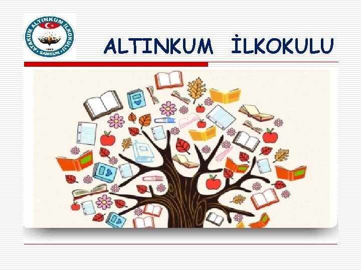 ALTINKUM İLKOKULU 