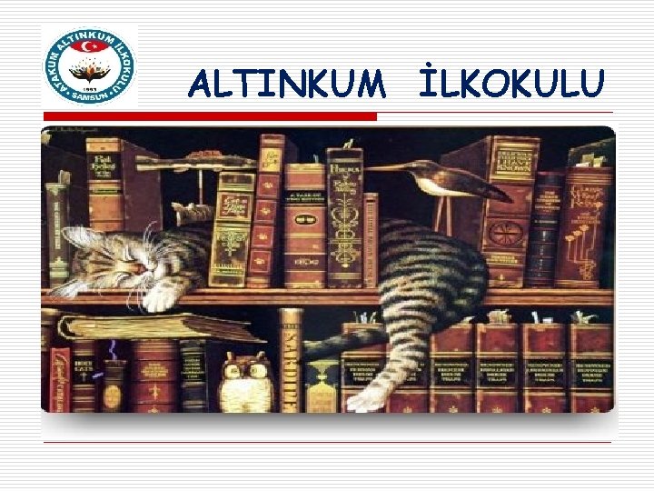 ALTINKUM İLKOKULU 