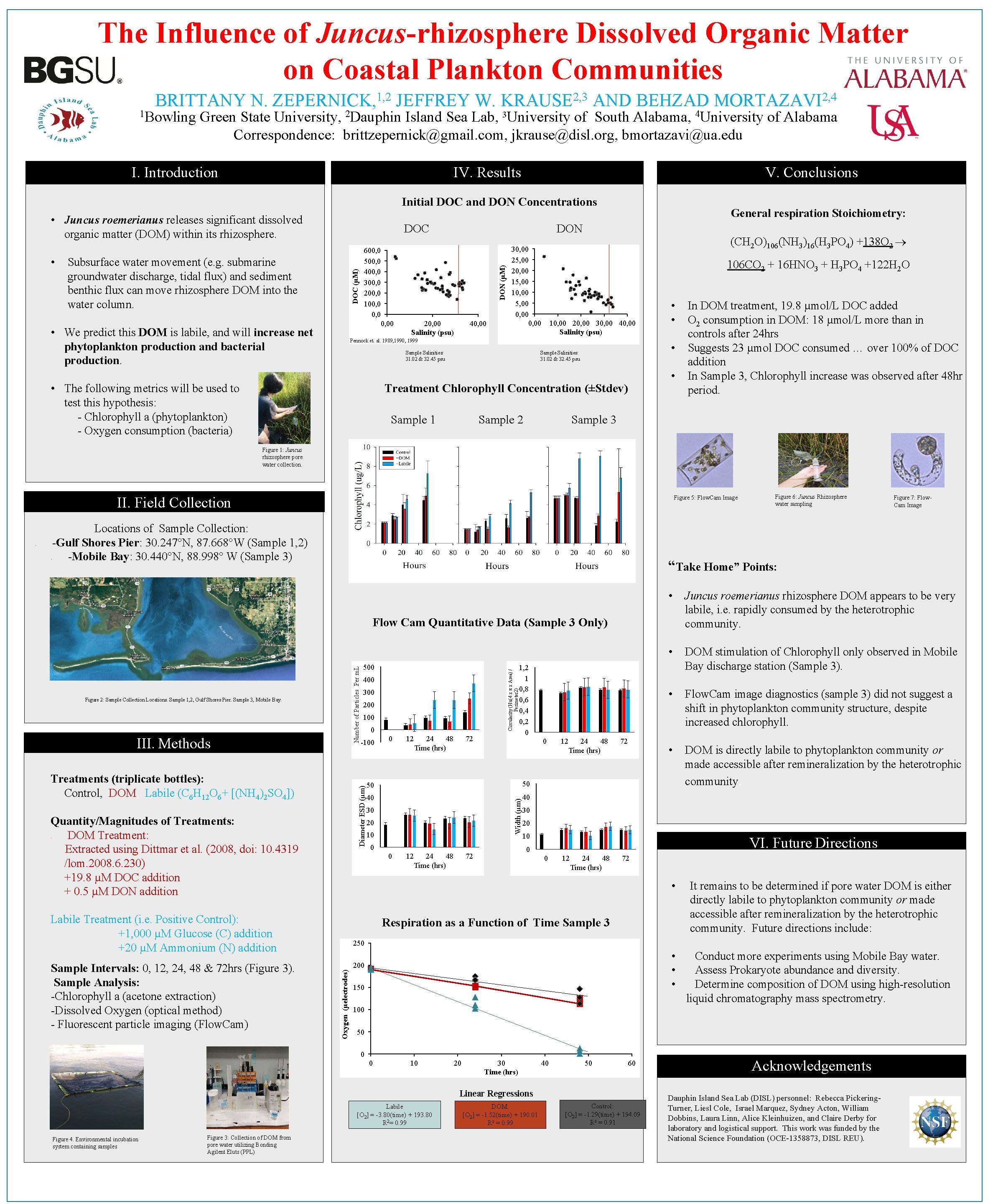 The Influence of Juncus-rhizosphere Dissolved Organic Matter on Coastal Plankton Communities BRITTANY N. ZEPERNICK,