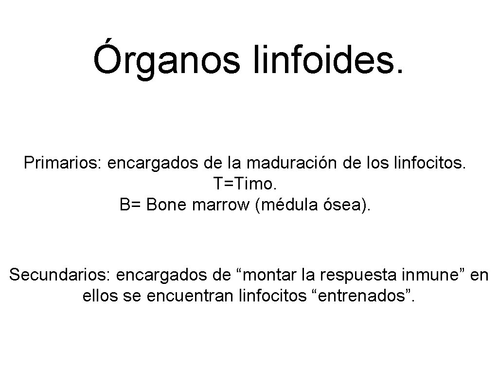 Órganos linfoides. Primarios: encargados de la maduración de los linfocitos. T=Timo. B= Bone marrow