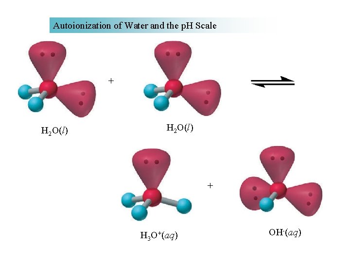 Autoionization of Water and the p. H Scale + H 2 O(l) + H