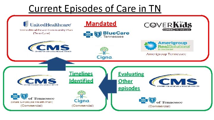 Current Episodes of Care in TN Mandated Timelines Identified Evaluating Other episodes 