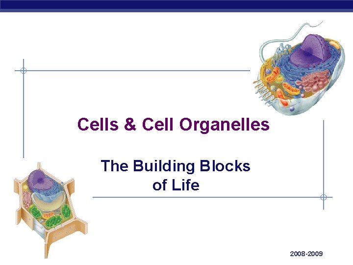 Cells & Cell Organelles The Building Blocks of Life AP Biology 2008 -2009 