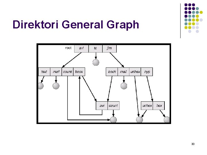 Direktori General Graph 30 