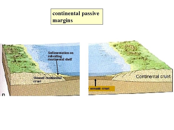 continental passive margins Sedimentation on subsiding continental shelf thinned continental crust oceanic crust 