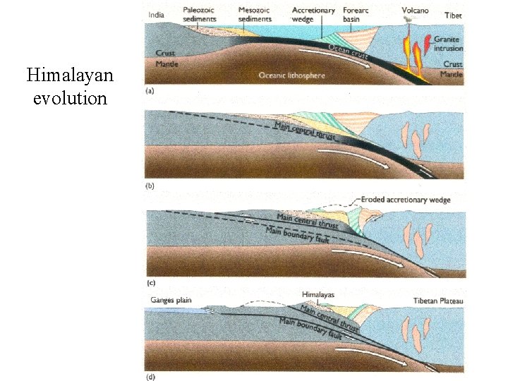 Himalayan evolution 