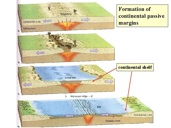 Formation of continental passive margins continental shelf 