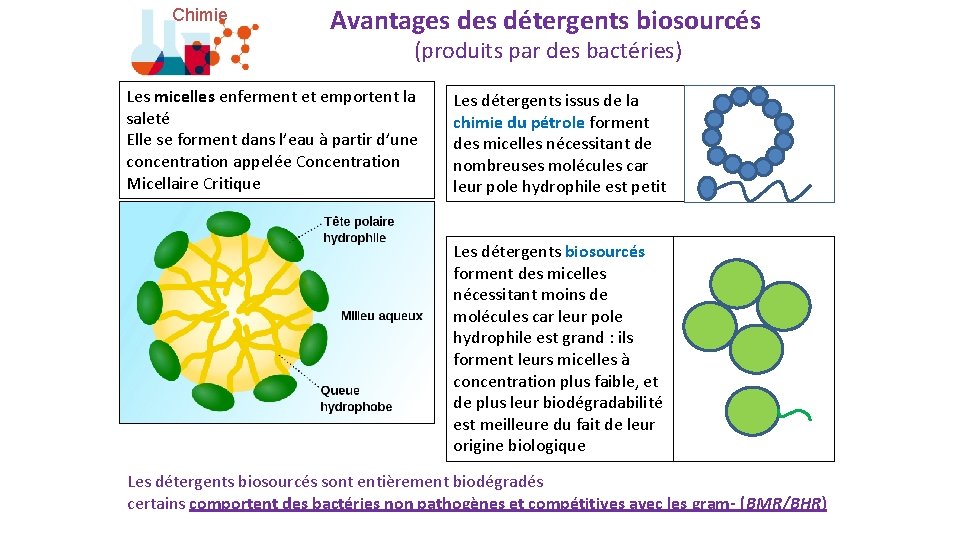 Chimie Avantages détergents biosourcés (produits par des bactéries) Les micelles enferment et emportent la