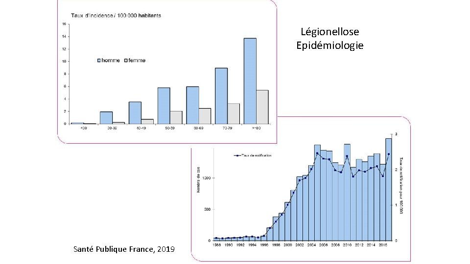 Légionellose Epidémiologie Santé Publique France, 2019 