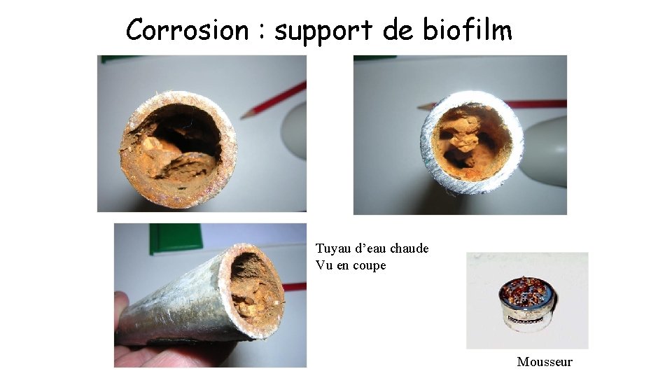 Corrosion : support de biofilm Tuyau d’eau chaude Vu en coupe Mousseur 