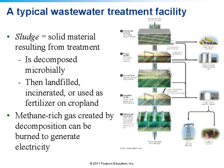 A typical wastewater treatment facility • Sludge = solid material resulting from treatment -