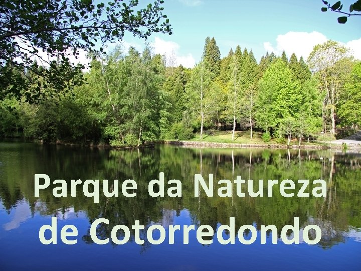 Parque da Natureza de Cotorredondo 