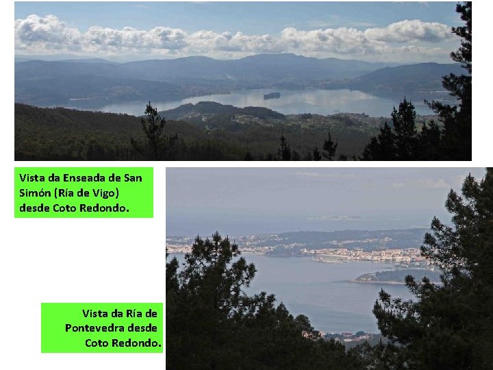 Vista da Enseada de San Simón (Ría de Vigo) desde Coto Redondo. Vista da