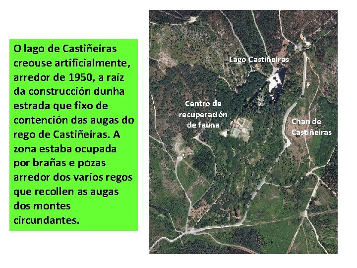 O lago de Castiñeiras creouse artificialmente, arredor de 1950, a raíz da construcción dunha