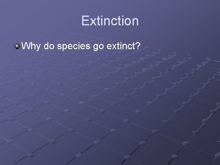 Extinction Why do species go extinct? 