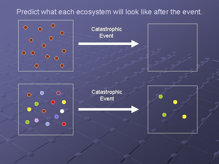 Predict what each ecosystem will look like after the event. Catastrophic Event 