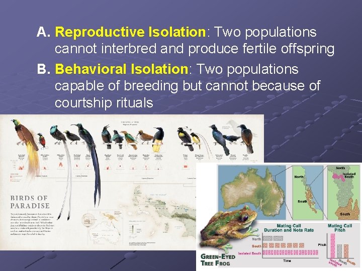 A. Reproductive Isolation: Two populations cannot interbred and produce fertile offspring B. Behavioral Isolation: