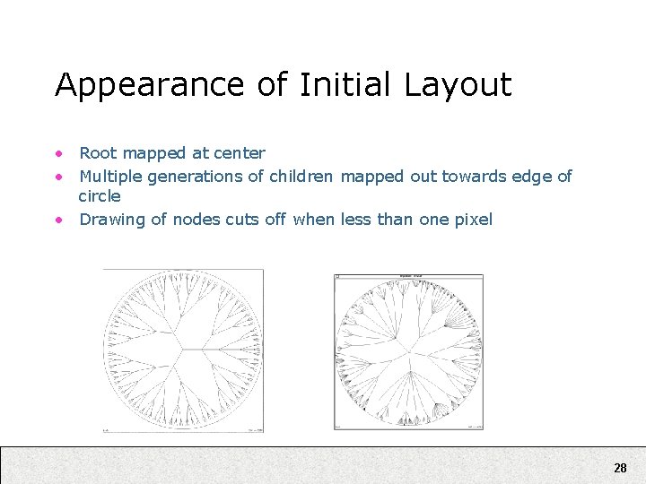 Appearance of Initial Layout • Root mapped at center • Multiple generations of children