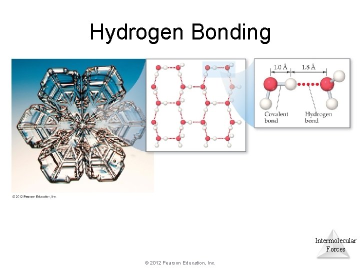Hydrogen Bonding Intermolecular Forces © 2012 Pearson Education, Inc. Hydrogen Bonding Intermolecular Forces © 2012 Pearson Education, Inc.
