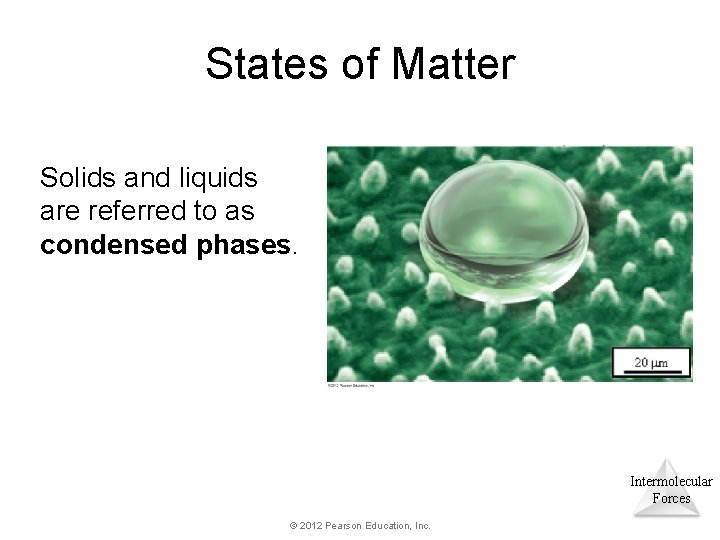 States of Matter Solids and liquids are referred to as condensed phases. Intermolecular Forces States of Matter Solids and liquids are referred to as condensed phases. Intermolecular Forces