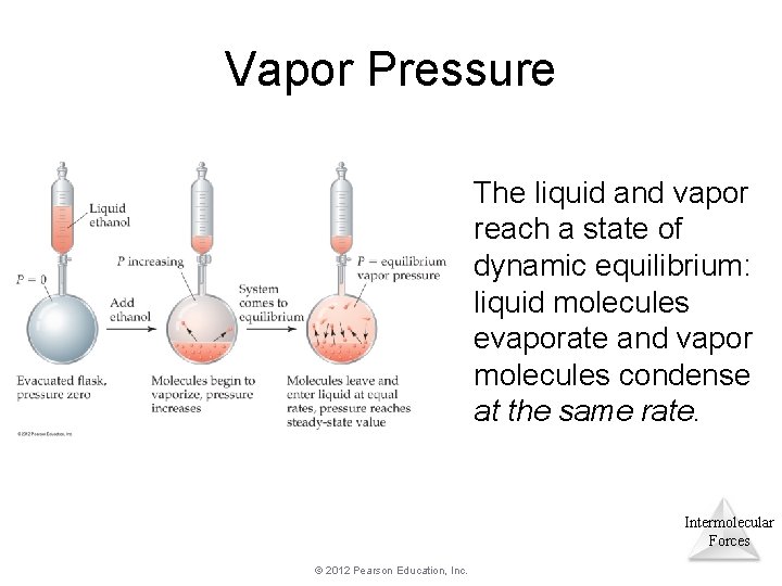 Vapor Pressure The liquid and vapor reach a state of dynamic equilibrium: liquid molecules Vapor Pressure The liquid and vapor reach a state of dynamic equilibrium: liquid molecules