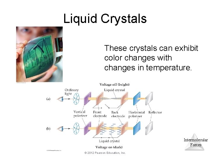 Liquid Crystals These crystals can exhibit color changes with changes in temperature. Intermolecular Forces Liquid Crystals These crystals can exhibit color changes with changes in temperature. Intermolecular Forces