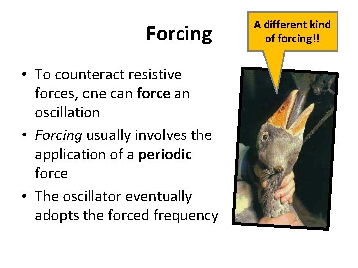 Forcing • To counteract resistive forces, one can force an oscillation • Forcing usually