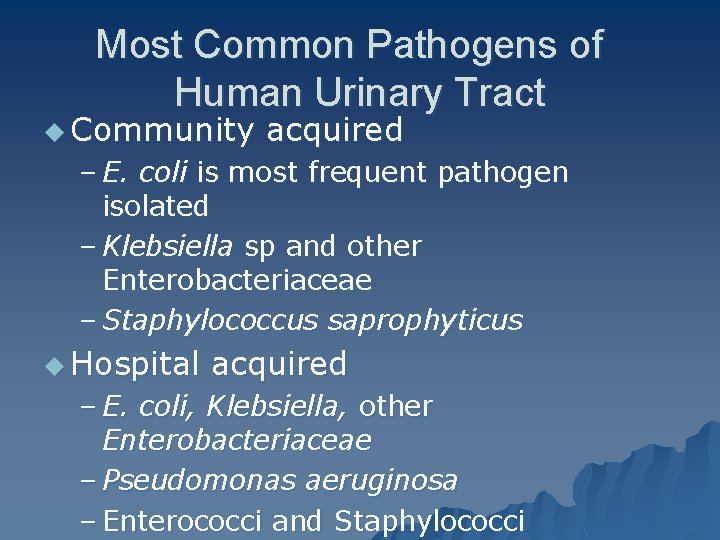 Most Common Pathogens of Human Urinary Tract u Community acquired – E. coli is