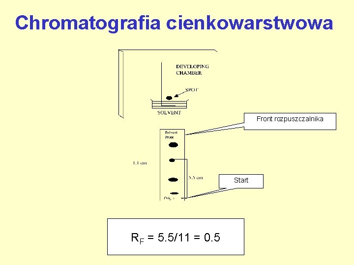 Chromatografia cienkowarstwowa Front rozpuszczalnika Start RF = 5. 5/11 = 0. 5 