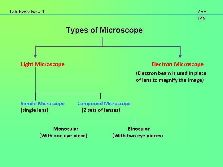 Lab Exercise 1 Microscopy Zoo 145 Lab Exercise