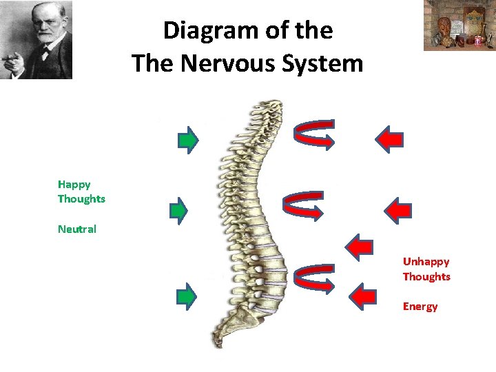 Diagram of the The Nervous System Happy Thoughts Neutral Unhappy Thoughts Energy 