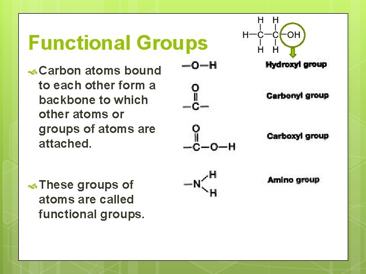 Functional Groups Carbon atoms bound to each other form a backbone to which other